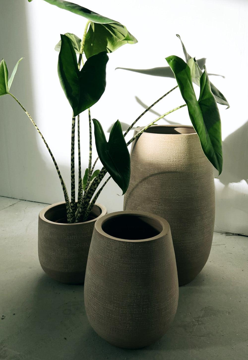 Topfvase Bajos - Paul & Romi