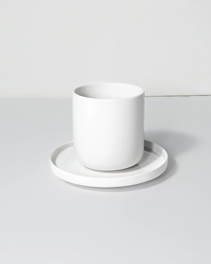 Vela Alba - Becher